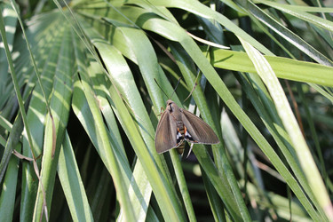 Similar image 22628096