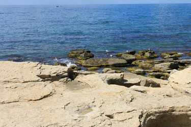 Similar image 22631688