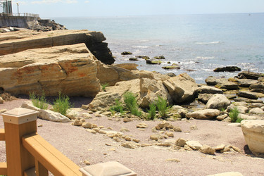 Similar image 22631691