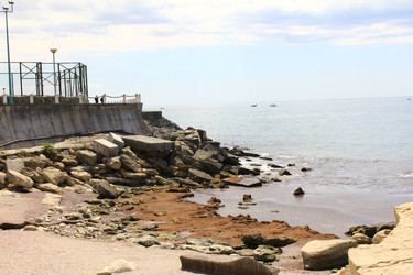 Similar image 22631692