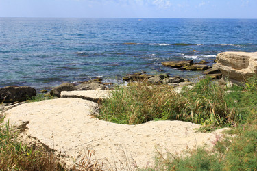 Similar image 22631694