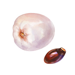 Similar image 22633411