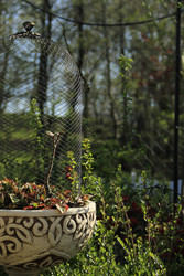 Similar image 22628057