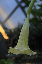 Similar image 22628058