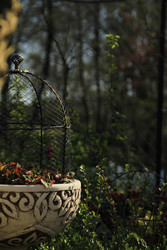 Similar image 22628060