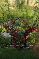 Similar image 22628061