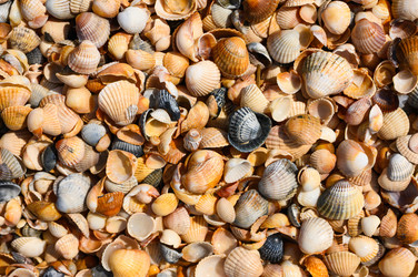 Similar image 22629715