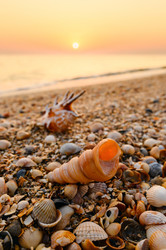 Similar image 22629729