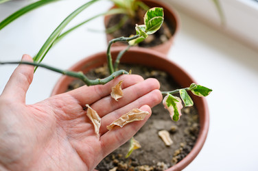 Similar image 22629736