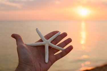 Similar image 22629741