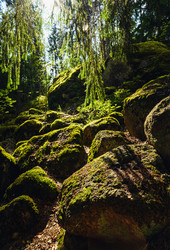 Similar image 22629743