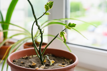 Similar image 22629746