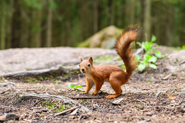 Similar image 22629755