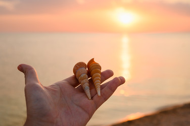 Similar image 22629761