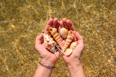 Similar image 22629770