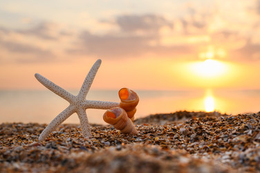 Similar image 22629771