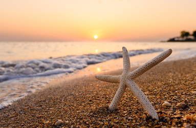 Similar image 22629781