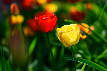 Similar image 22628109