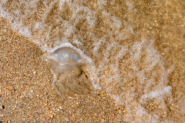 Similar image 22629789