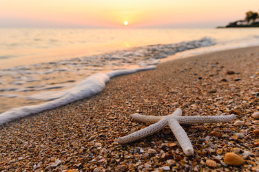 Similar image 22628110