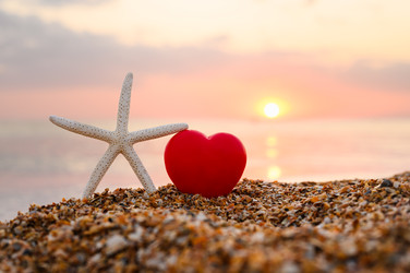 Similar image 22636195