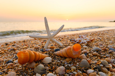 Similar image 22636198