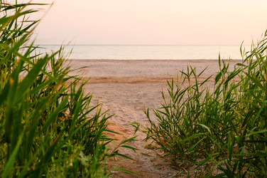 Similar image 22628112