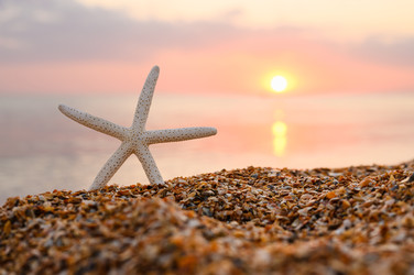 Similar image 22636199