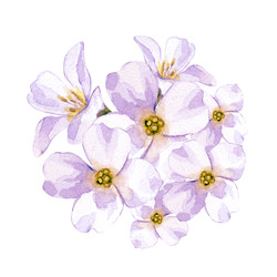 Similar image 22633457