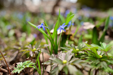 Similar image 22631720