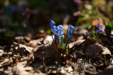 Similar image 22631732