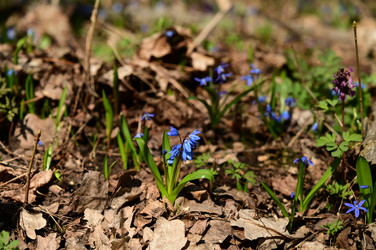 Similar image 22631733