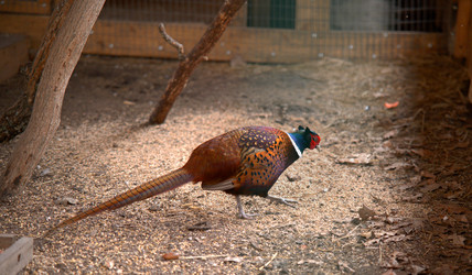 Similar image 22631734