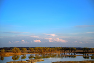 Similar image 22631735