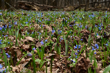 Similar image 22631736