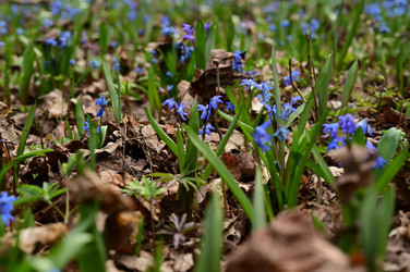 Similar image 22631737