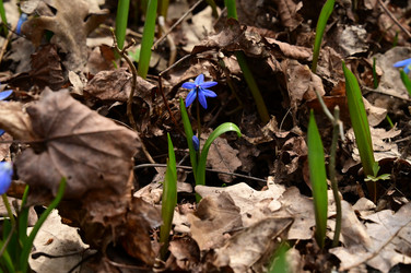 Similar image 22631738