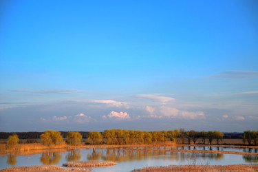 Similar image 22631739