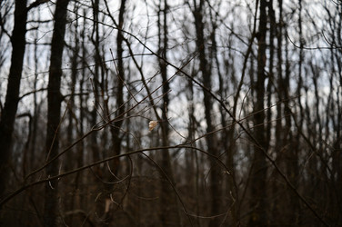 Similar image 22631740