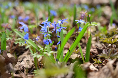 Similar image 22631741