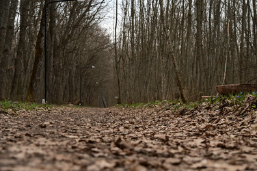 Similar image 22631742