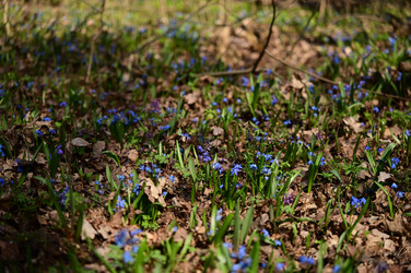 Similar image 22631743