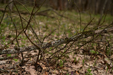 Similar image 22631744