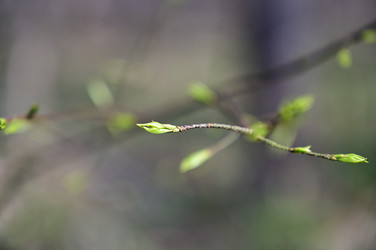 Similar image 22631745