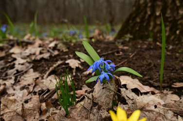 Similar image 22631746