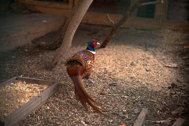 Similar image 22631747