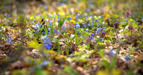 Similar image 22631748