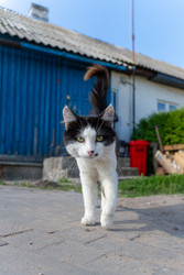 Similar image 22637694