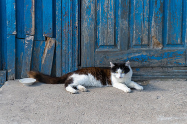 Similar image 22637695