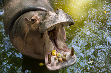 Similar image 22630032